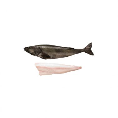 Menca Melnā (Sablefish), ķid., b/g, 2-3.5+kg, sald., IQF, PPAC
