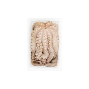 Astoņkāji, 2-3kg, tray, sald., 1*~13kg (t.s. 11.7kg)