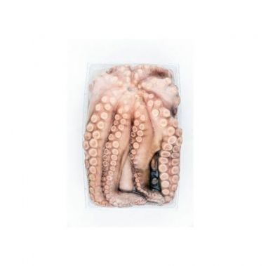 Astoņkāji, 1-2kg, tray, sald., 1*~14kg, Spānija