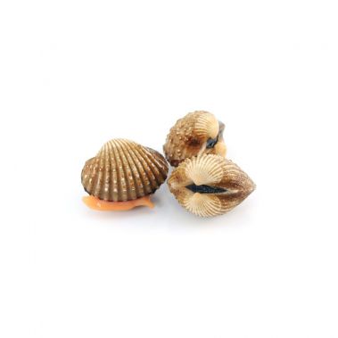 Gliemenes Cockle, atvēs., 1kg