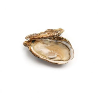 Oysters Creuses 3 (60-80g), 25pcs, Netherlands