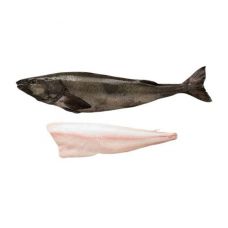 Menca Melnā (Sablefish), ķid., b/g, 2.5-3.5+kg, MSC, sald., PPAC