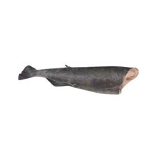 Menca Melnā (Sablefish), ķid., b/g, 1.8-2.3+kg, IQF, 1*~22kg (t.s. 20.9kg)