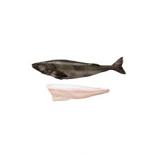 Menca Melnā (Sablefish), ķid., b/g, 2-3.5+kg, sald., IQF, (3-5%), PPAC