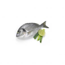 Seabream, not gutted, 600-800g, chilled, 1*6kg
