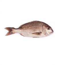 Red Porgy, not gutted, 300-400g, chilled, 1*6kg