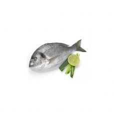 Seabream, not gutted, 400-600g, chilled, 1*6kg