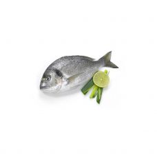 Seabream, not gutted, 300-400g, chilled, 1*6kg