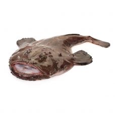 Jūrasvelns (Monkfish), a/g, 3+kg, atvēs.