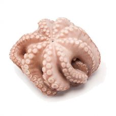Astoņkāji, 1.5-2kg, flower, vak., sald, 1*~12kg (6gab*~1.5-2kg)