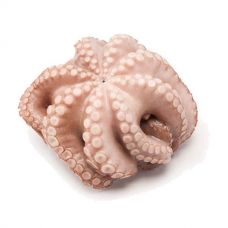 Astoņkāji, 1.5-2kg, flower, IVP, sald., 1*~12kg (t.s. ~11kg)