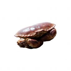 Krabis brūns (Edible Crabs), dzīvs, 800-1000g, Francija