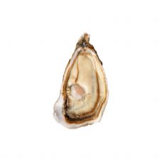 Oysters Creuses SP UMAMI 3 (60-80g), 12pcs, Ireland