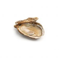 Oysters Creuses 1 (100-120g), 12pcs, Netherlands